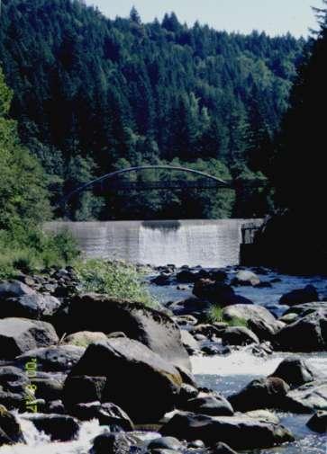 Sandy River Other