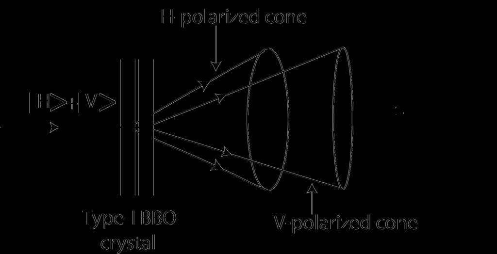 (BBO) crystals through the process of spontaneous parametric down conversion (see, for example, Ref. [6]). > > VsVi HsHi + FIG.