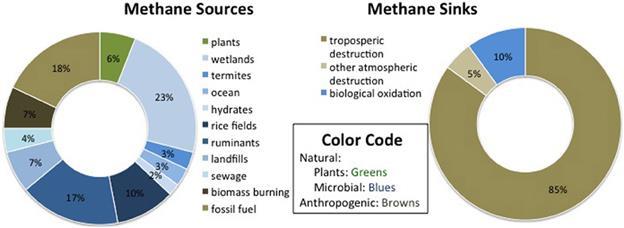 Unlike CO 2, methane does not cycle into the
