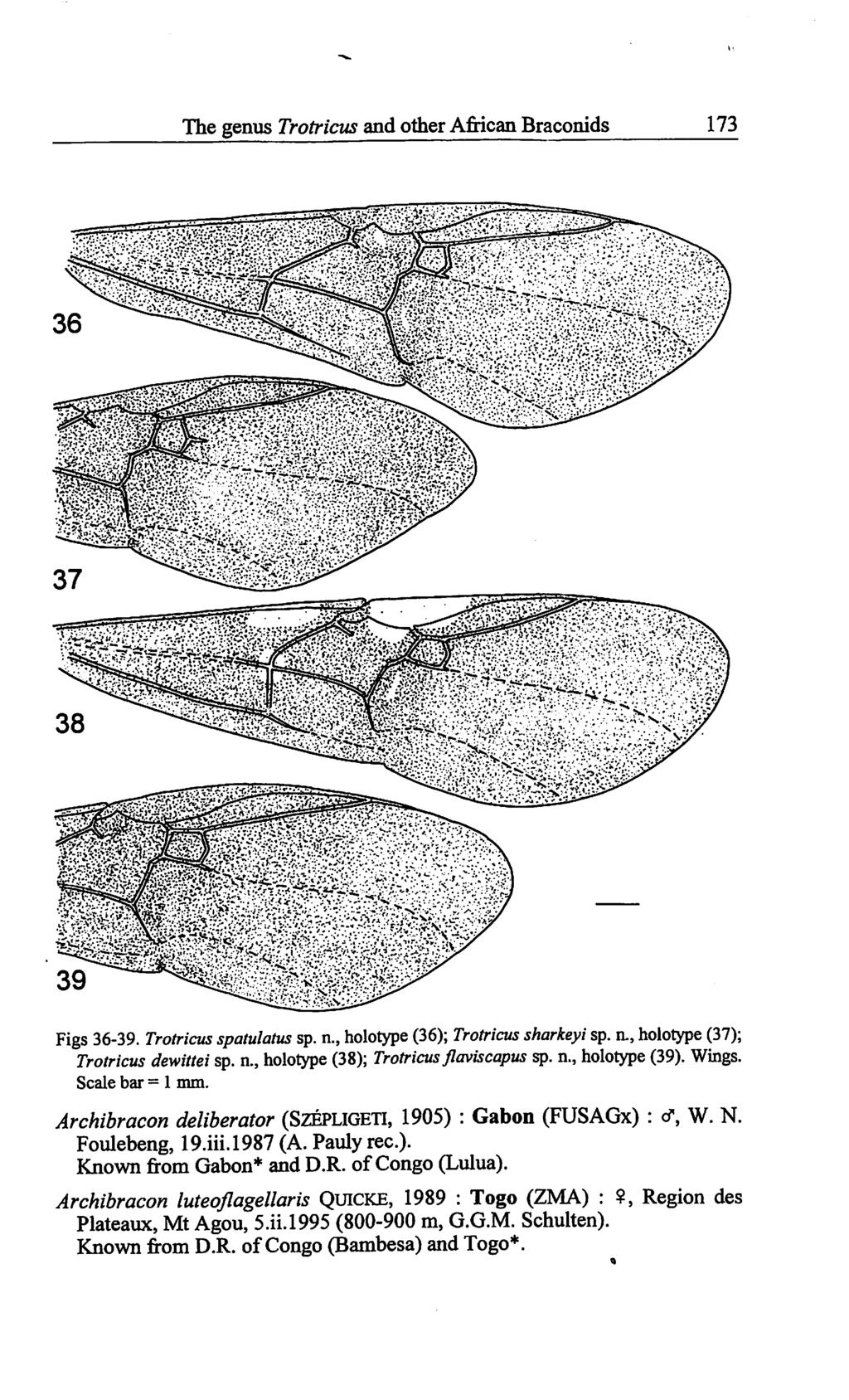 The genus Trotricus and other African Braconids 173 Figs 36-39. Trotricus spatulatus sp. n., holotype (36); Trotricus sharkeyi sp. n., holotype (37); Trotricus dewittei sp. n., holotype (38); Trotricus jlaviscapus sp.