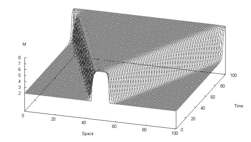 Figure 5: Wave propagation in the bistable case.