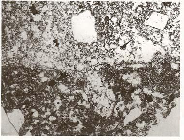 Figure 4: Thin section photomicrograph of by Ryder (1993) illustrating granulite clast in micropoikilitic matrix. Di Dymek et al.