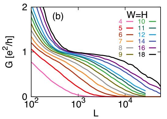 The Perfectly Conducting Channel in Long Wires Verified PCC in very long TI wires. Found decay length as a function of wire width W, which scales as W^3.