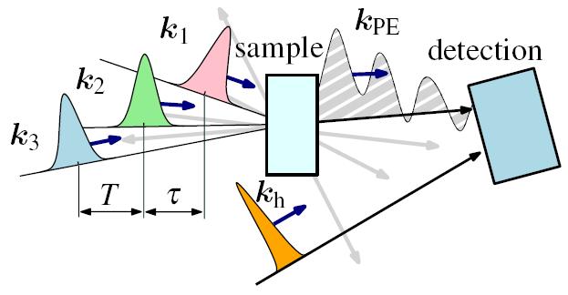 Scheme 2D photon echo spectroscopy (3) (3) r 3 2 1 3 2 1 0 0 0 P (, t) dt