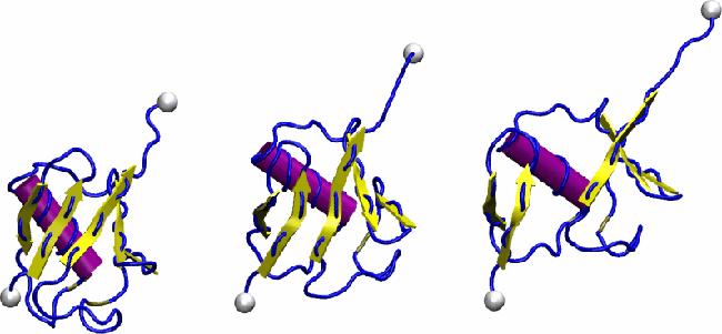 Figure: Snapshots of ubiquitin pulling with