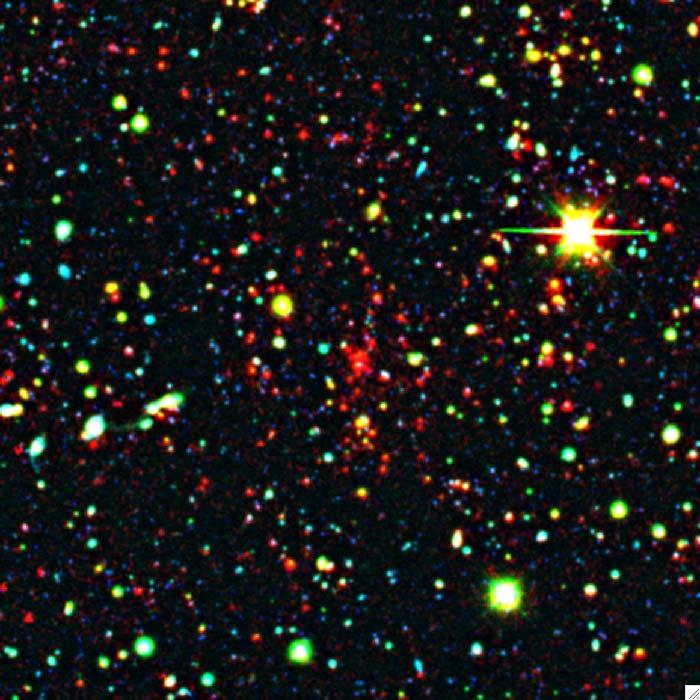 Cluster SN Cosmology Supernovae