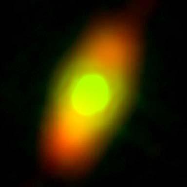 Circumstellar dust around main sequence A stars varies stochastically with time,