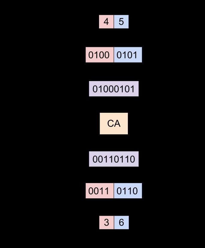 Figure 3.1: The single-input, single-output approach to CA as an input-output system.
