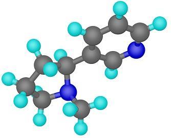 SUMMARY/REVIEW Molecule A group of atoms that are chemically bonded