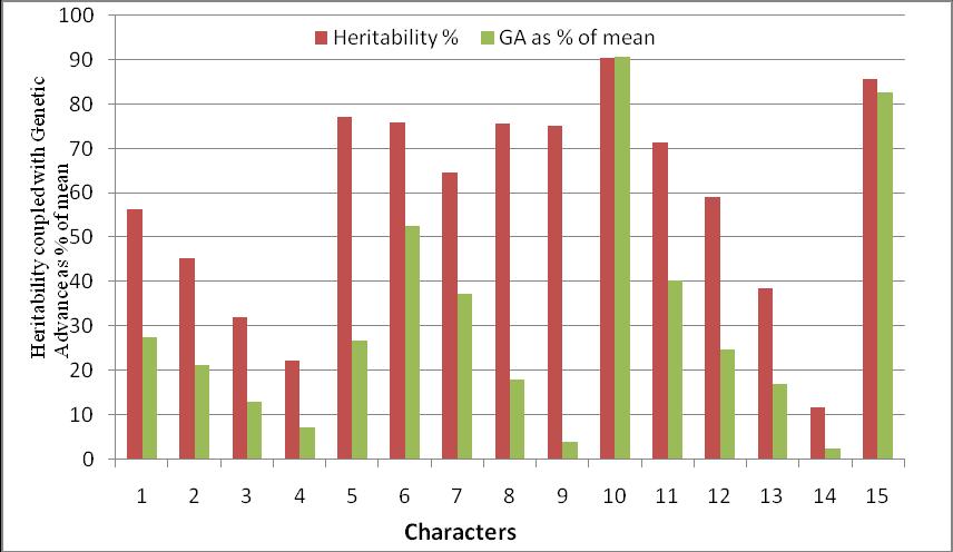 Fig.2 Graphical presentation of heritability % and Genetic Advance as % of mean for green foliage yield and its components 1. Number of vines per plant, 2. Vine length (m), 3.