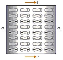 Magnetism of materials Recall the following for a dielectric in an external electric field: The polarization charge sp is opposite to the external charge s.