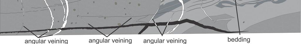Carbonate often accompanies quartz in the veined sections as clots and veins within the quartz veins, in both the angular veins and the bedding-parallel veins.