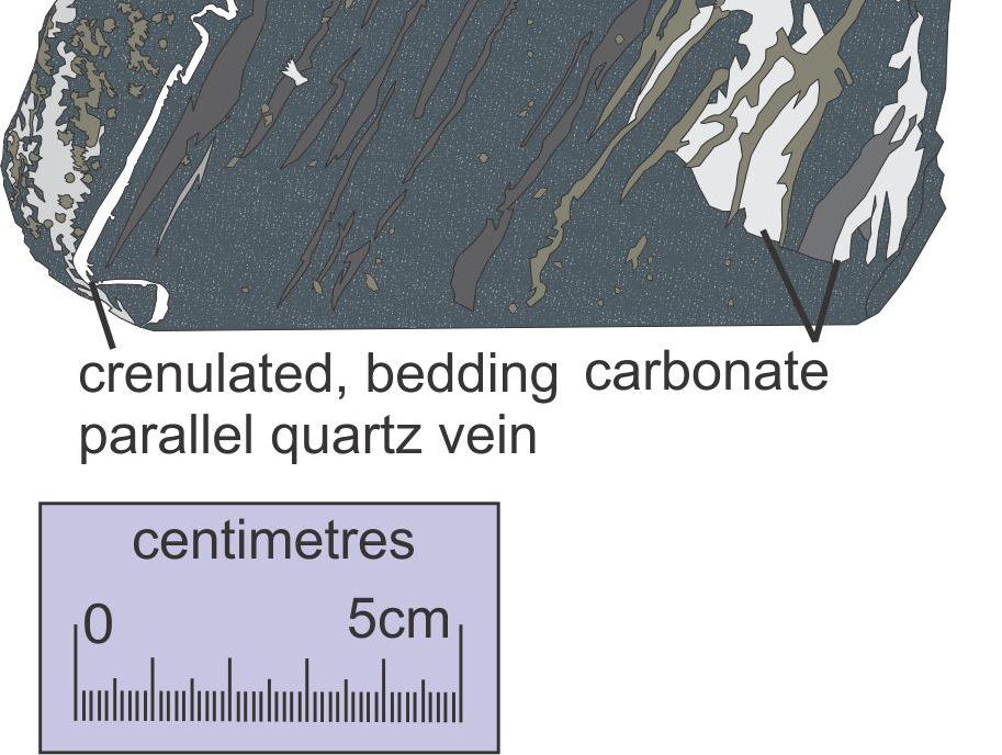 5 m depth and is marked by dark pelitic banding in greenish-grey semipelite. The final core box saddle at 36.0 m depth exhibits a thicker, 3.