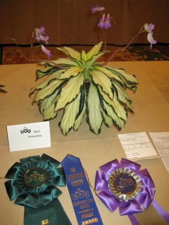 This year s show was no different with so many amazing high quality entries, convention goers did not have to look far to strike up conversations about their favorites.