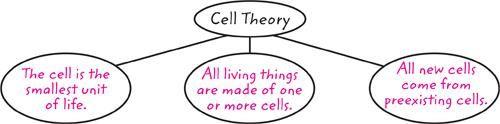 Various Types of Cells PROBLEM: Are all cells the exact same? EVIDENCE: Read, annotate, and answer the following questions.