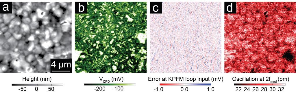100# 200# 400# Figure S3. Monitoring all relevant signals during FM-KPFM measurements. (a) AFM topography shows a homogenous texture of grains.