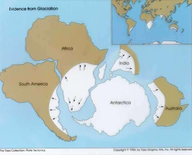 Evidence for Continental Drift fossil evidence: coal and oil in parts of the world that