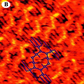 Two-Dimensional Organization of Höger s Macrocycles Monolayer of 1c adsorbed on graphite.