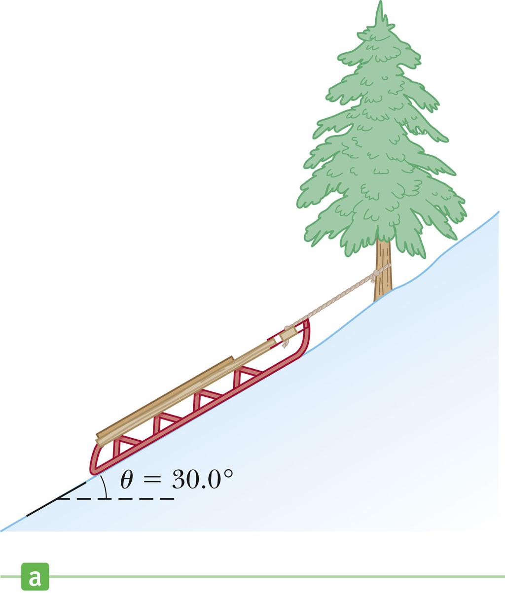 Example problem A sled is tied to a tree on a frictionless (snow covered) hill.