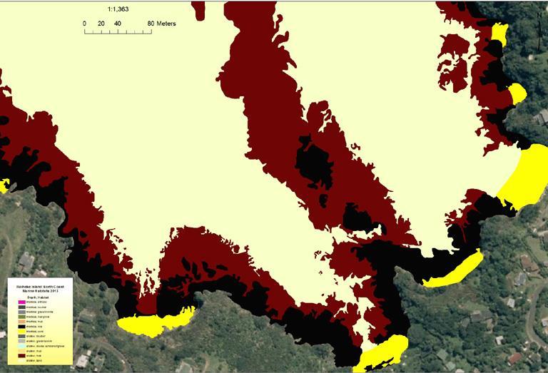 Mapping inshore habitats from