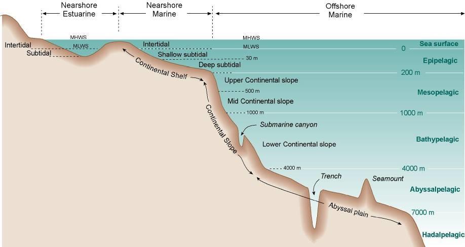 Coastal = Coastal & Deepwater Classification 13 Coastal Biogeographic Regions Major Environments Estuarine & Coastal Depths