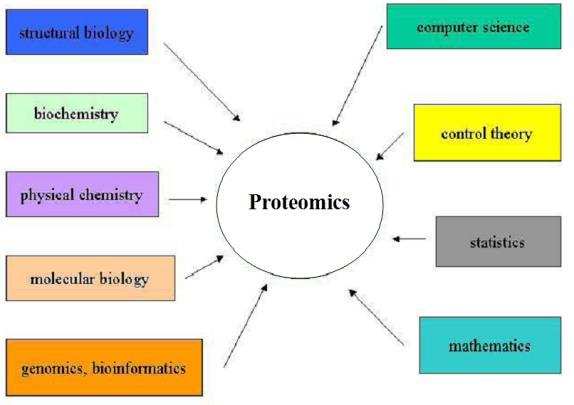 Chapter 2 Fig.2.1 Different fields affect on proteomics 2.1.1 Historical development Proteomics was coined in the early 1990s by Macquarie University PhD candidate, Marc Wilkins.