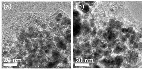 (c) High resolution TEM image of a Ni particle and (d) corresponding size distribution of the Ni nanoparticles. Fig. 4.