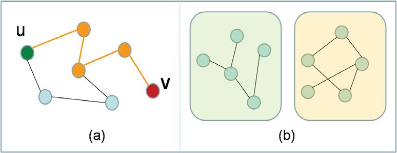 Figure 1.4: Panel (a) illustrates a geodesic path from node u (green) to v (red) via intermediary nodes (orange). Panel (b) illustrates two separate components of a single complex network.