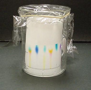 Separation of a Mixture The components of dyes