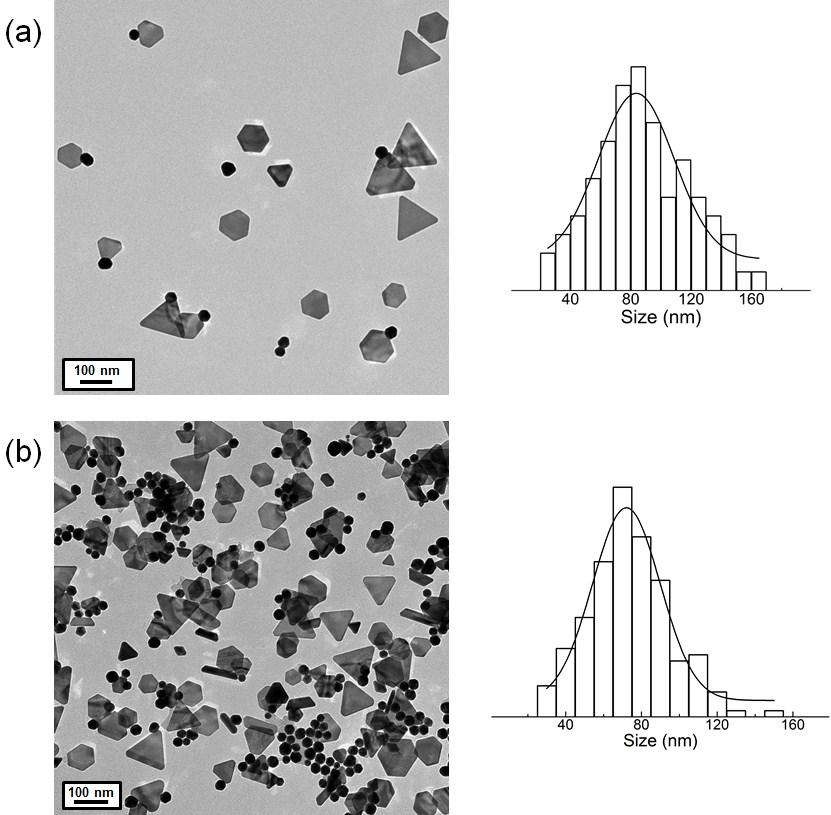 Fig. S3 Typical TEM image (left) and size distribution (right) of Au nanoplates synthesized in the presence of 45 µl (a) and 90 µl (b) of H 2 O 2, respectively.