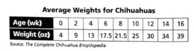 This table gives the average weights of Chihuahuas from