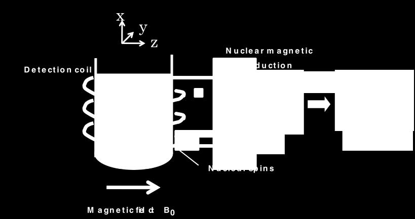 Standard NMR NMR MRI Spectrum is sensitive to the conditions where nuclear spins are placed.