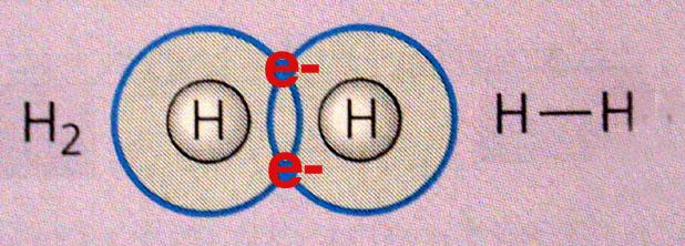 elements as in the water molecule (H 2 O). A molecule is the smallest amount of a compound you can have.