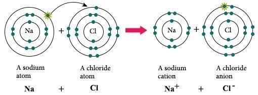 Strongest of chemical bonds Formed by the attraction between two oppositely charged ions Ion = atom