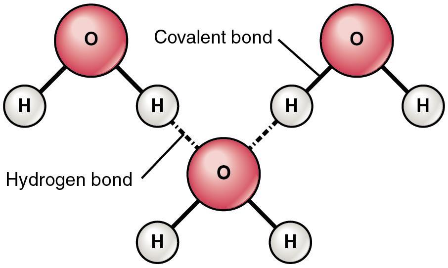 A very weak bond Between molecules not atoms!