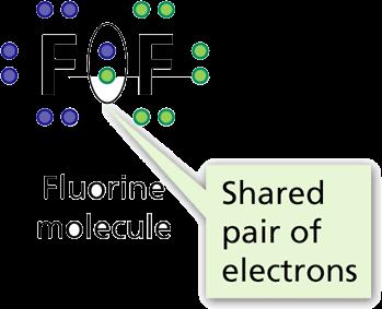 have? In a fluorine molecule,
