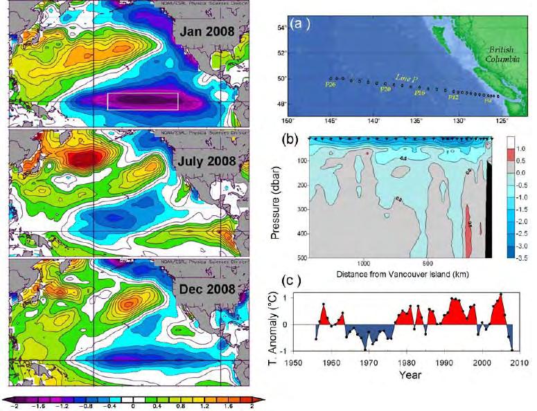 Line P Canada USA The panels at left show temperature anomalies over the Pacific Ocean in 2008, a recent La Niña