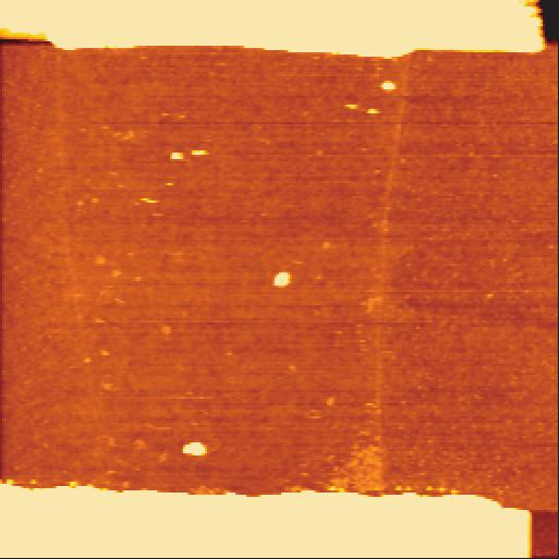 (a) Bare graphene Electrode 1 µm Electrode Height(nm) 1.5 1.2 0.9 0.6 0.3 0.