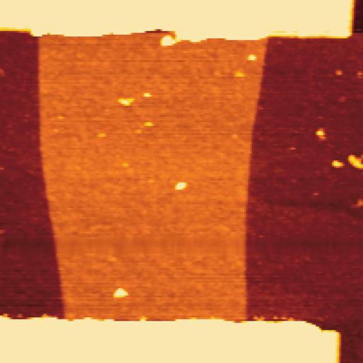 Inset shows the height profile of the graphene channel marked by a solid line. (b) AFM image of -FE with aptamer-modified graphene channel. Inset shows the height profile.