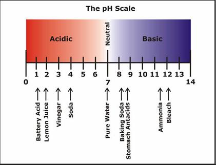 The ph scale is used to measure the strengths of acids and bases: