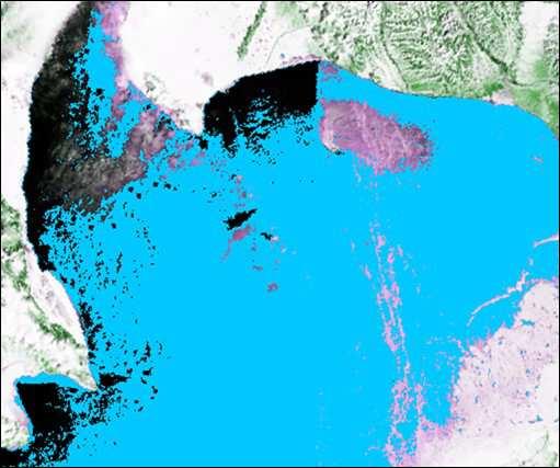 (Sea of Okhotsk, February 28, 2016) 7.2 Bering Sea ACKNOWLEDGEMENT This study was partly supported by JAXA under the frame work of GCOM-W Verification Program.