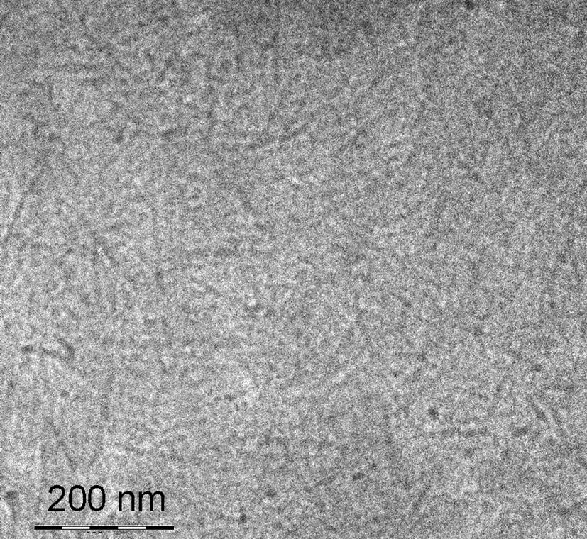 Figure SI-6: Cryo-TEM image of 8 in chloroform (c = g L-). For vitrification a FEI Vitrobot was used. The temperature in the chamber was kept constant at C.