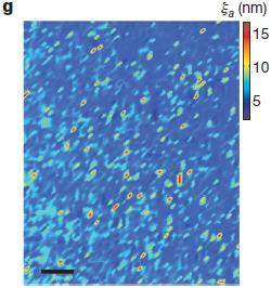 Inhomogeneity of charge-density-wave order and quenched disorder in a high-t c superconductor HgBa 2