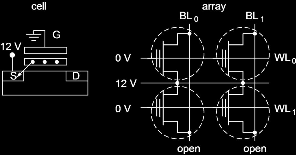 Basic Operations in a NOR Flash