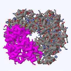 A hemaglobin protein based on the file 1a3n.pdb does contain water and therefore will have areas colored magenta.