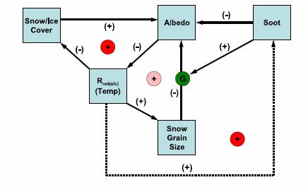 Aerosol effect on surface albedo Deposition of BC onto snow (ice) surfaces: ice-albedo feedback amplification