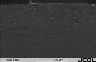1a shows the back scattered electron imaging of the nanocomposites comprising 5 wt.-% of OS2. The SEM image of the sample shows clear dispersion of OS2 nanoparticles in the form of white dots.