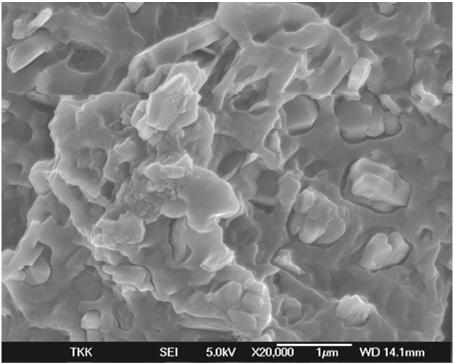 Challenges in polyolefin composite technology Mineral fillers