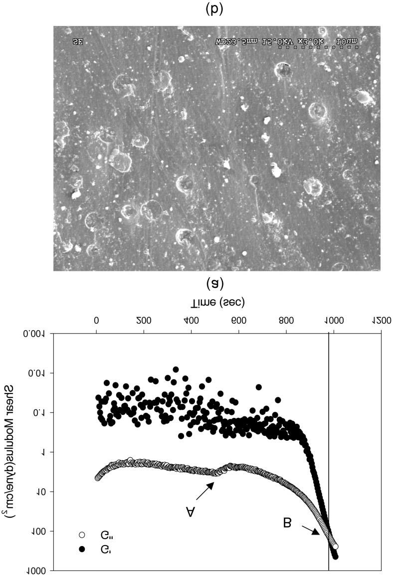 In Situ Detection of the Onset of Phase Separation and Gelation in Epoxy/Anhydride/Thermoplastic Blends of phase separation (marked A in Figures) as well as gelation (marked B in Figures with the