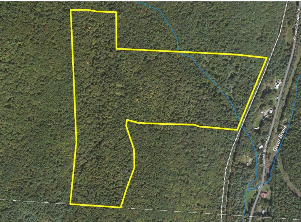 Adjoining State Forest Potential Home Site 78+/- Acres Trails Deeded ROW Power